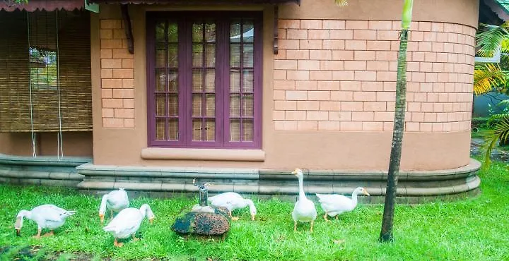 Pagoda Resorts Alappuzha